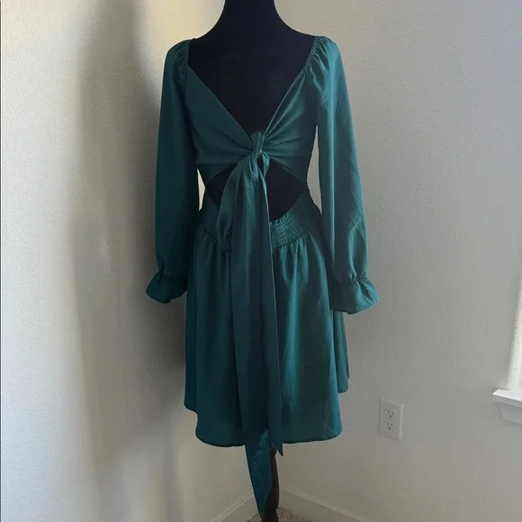 Elegant Teal Long Sleeve Dress - Picture 11 of 15